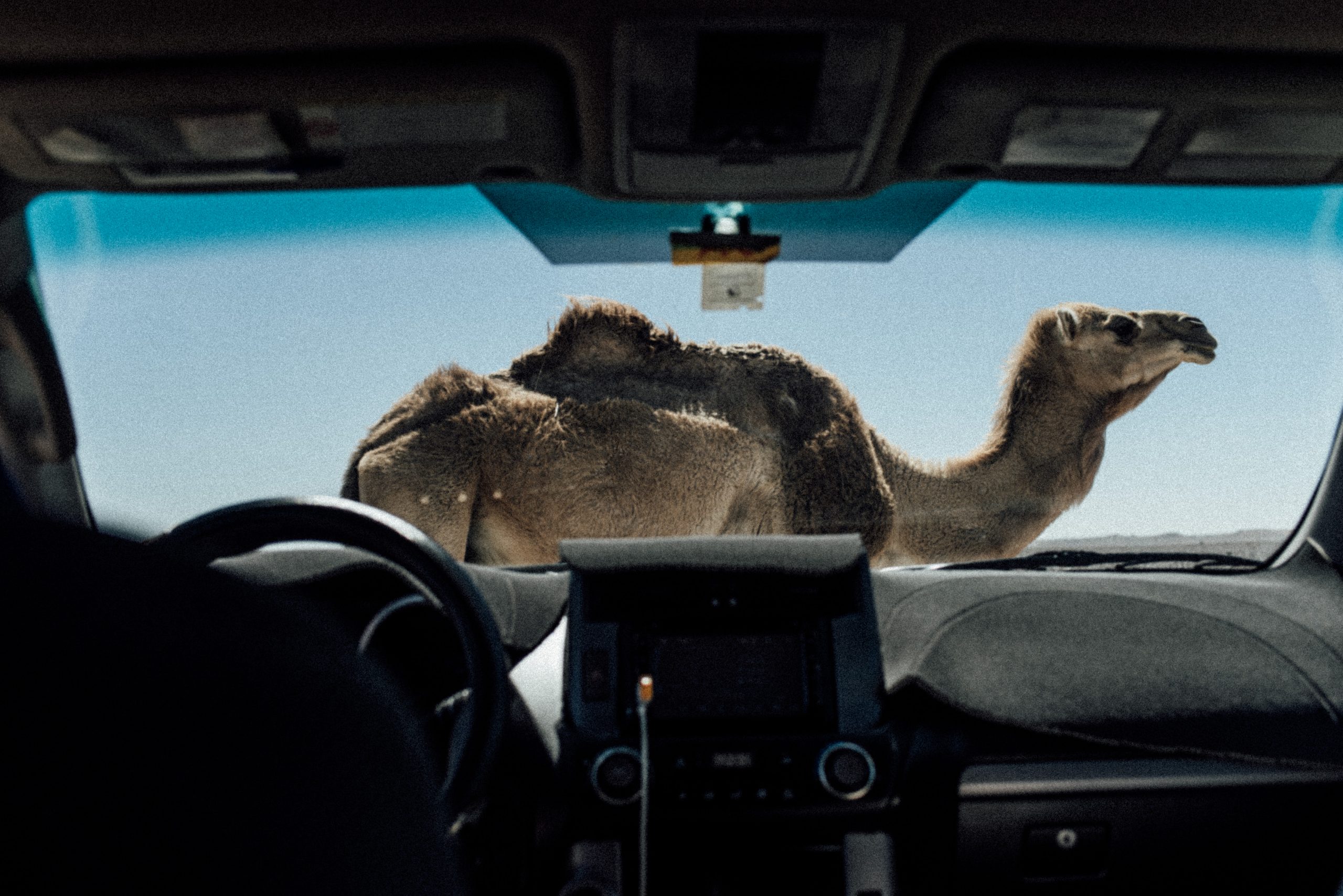 KNPPresetsFotos-Film-3